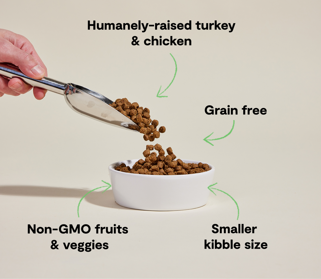 Small Breed Grain-Free Dog Kibble